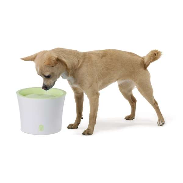 CATIT Fresh+Clear Trinkbrunnen 3L