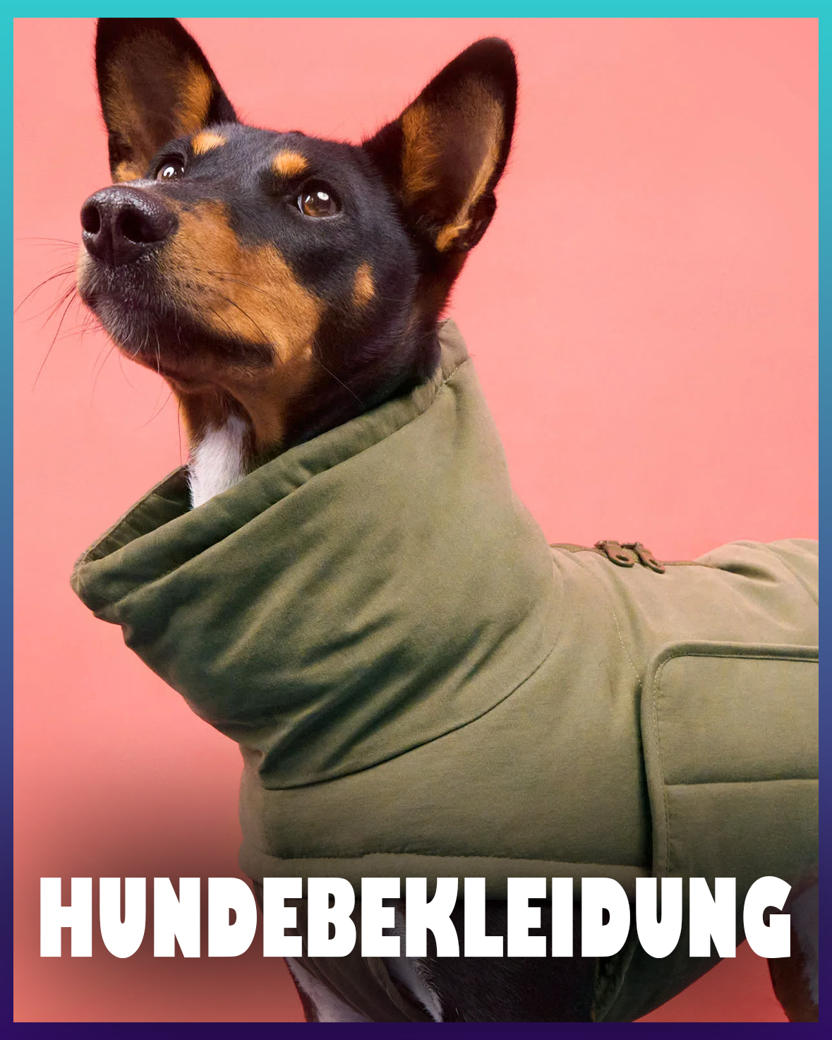 Hundebekleidung