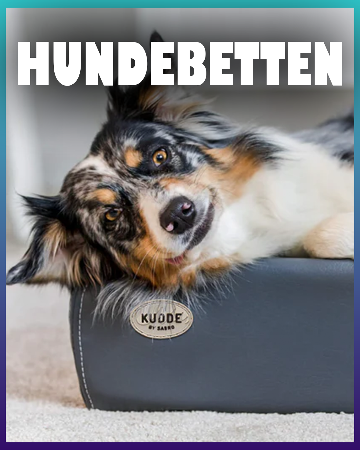 Hundebetten