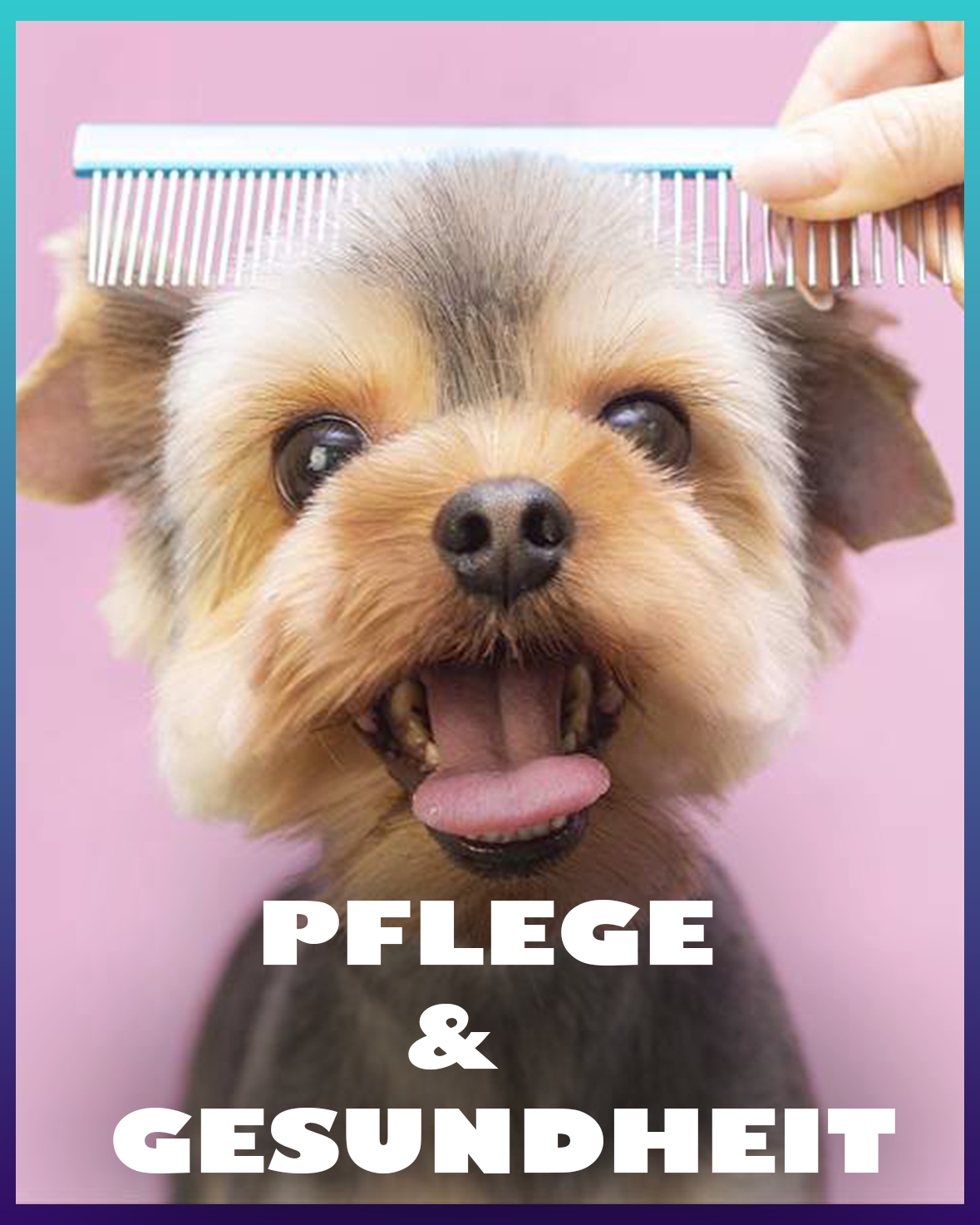 Hunde Pflege & Gesundheit