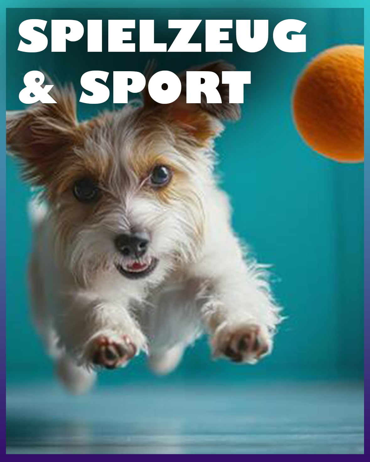 Hundespielzeug & Sport