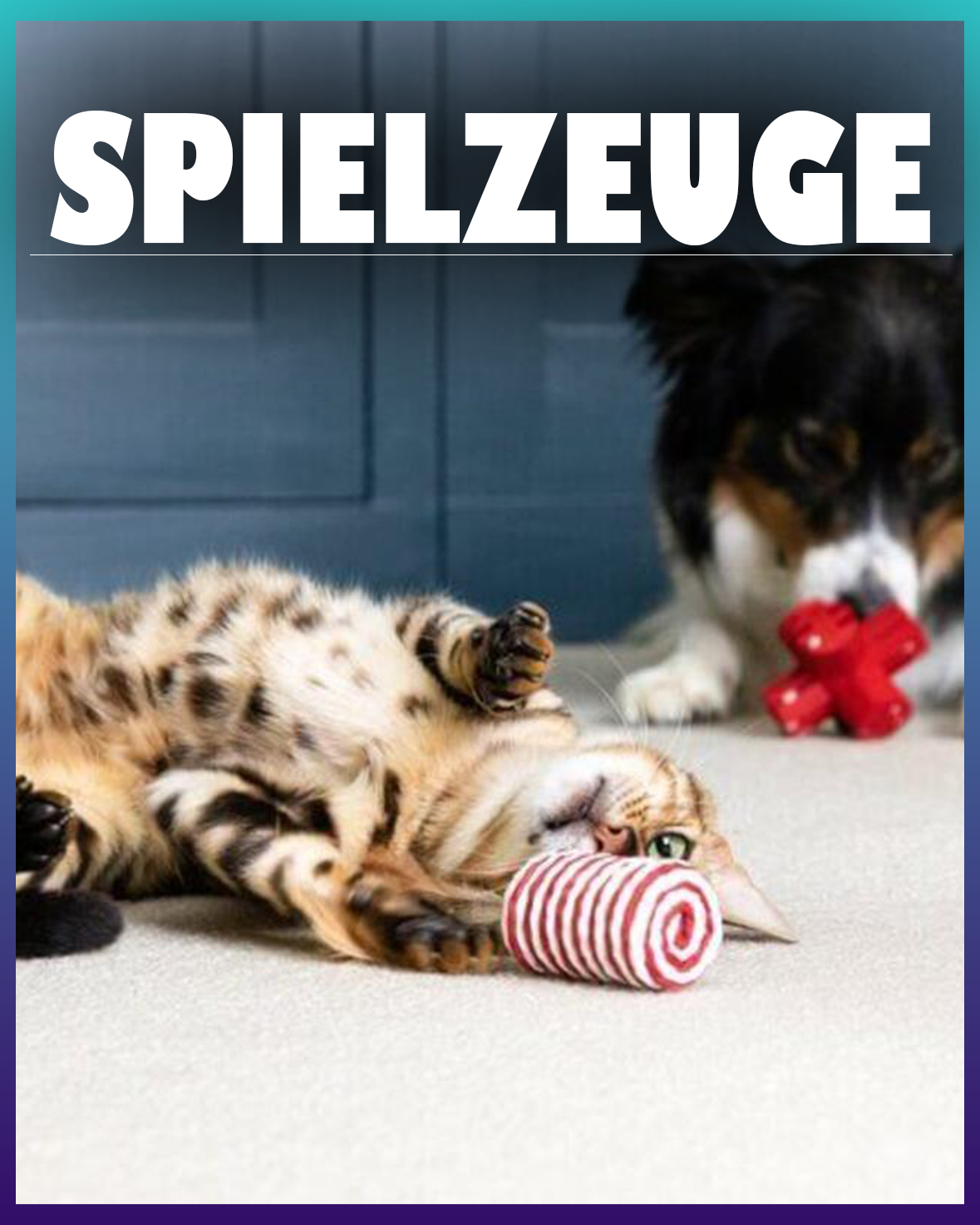 Katzenspielzeug
