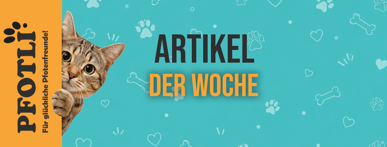 Artikel der Woche - Pfotli Angebote