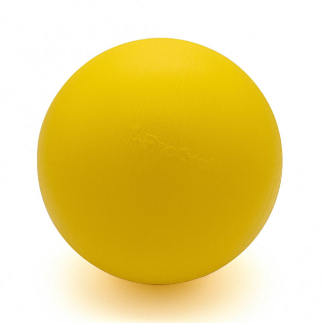 PROCYON Treibball Größe S - extra stabil