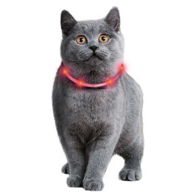 Karlie Visio Light Cat LED-Schlauch mit USB